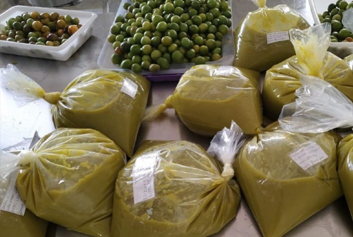 Bebida de Umbu: Pesquisa Inova e Atraí Consumidores