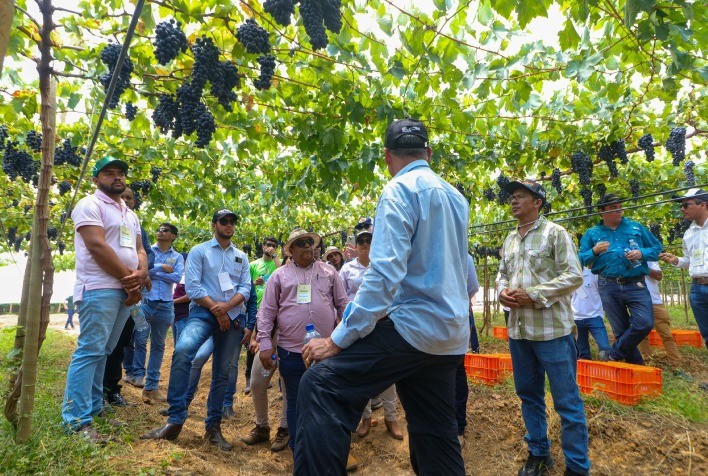 Fruticultura Irrigada: Novas Perspectivas para a Agricultura na Bahia