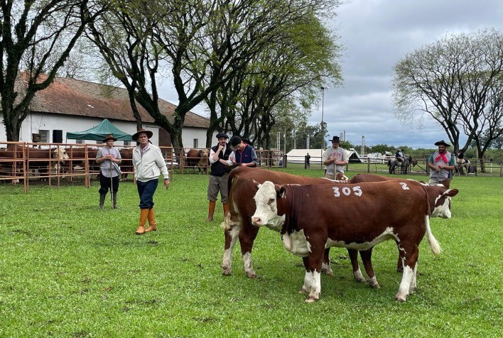 Dom Pedrito Anuncia os Vencedores das Raças Hereford e Braford na Farm Show
