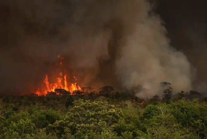 Estratégias para a Recuperação do Solo Após Incêndios