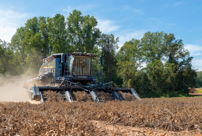 Colheita de amendoim, beterraba e girassol avança nos Estados Unidos