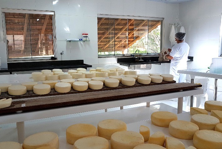 Emater-MG Lança Cartilha sobre Boas Práticas de Fabricação de Queijos Artesanais