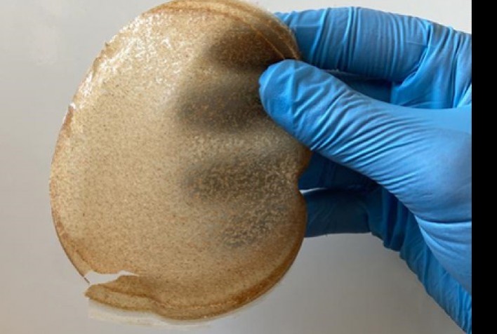 Embrapii Apoia Desenvolvimento de Embalagens Biodegradáveis a Partir de Mandioca