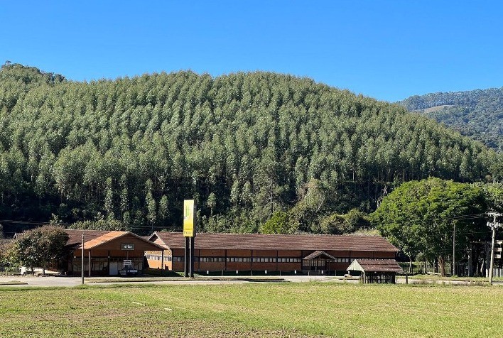 Espírito Madeira 2024: Dia de Campo Demonstra Inovações em Equipamentos Florestais na Fazenda Pindobas