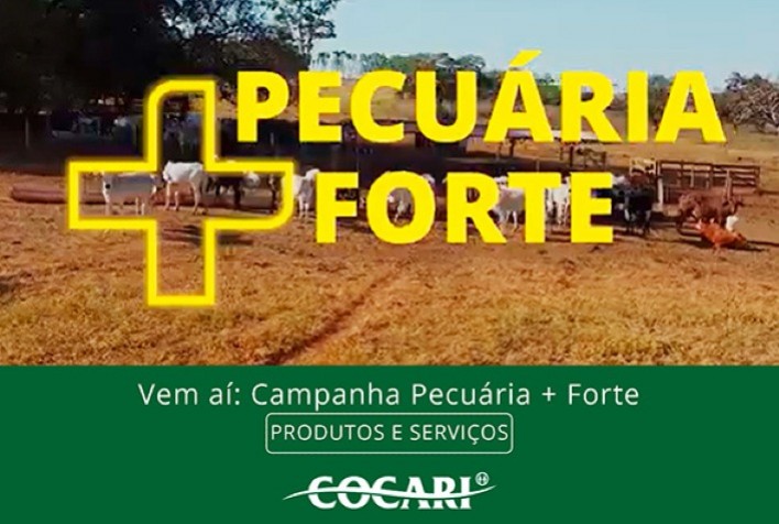 Fortalecimento da Pecuária: Nova Edição da Campanha Pecuária + Forte