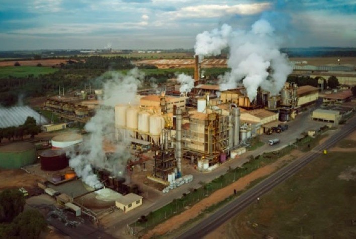 Usina Estiva Conclui Safra 2024/2025, a Quarta Maior de sua História