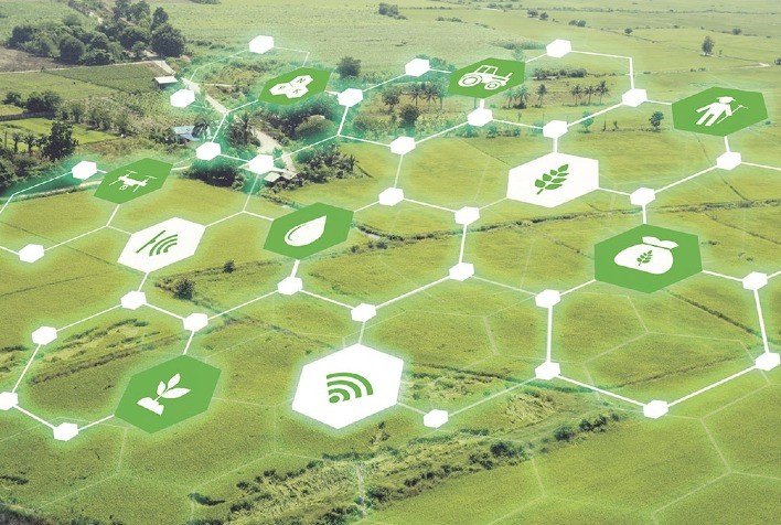A Importância da Tecnologia na Construção de um Agronegócio Sustentável