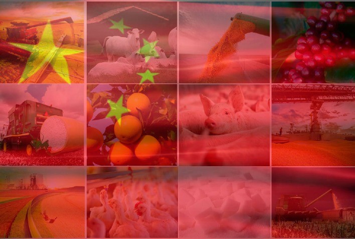 China Implementa Plano Quinquenal para Expandir Produção Agrícola e Reduzir Importações