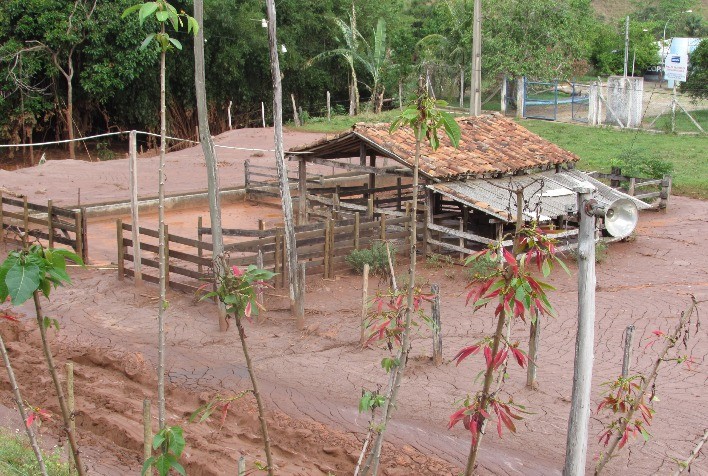Emater-MG Lança Programa de Recuperação para Propriedades Rurais Atingidas pelo Rompimento da Barragem em Mariana