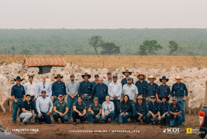 Circuito Cria: Inovação e Sustentabilidade na Pecuária Brasileira