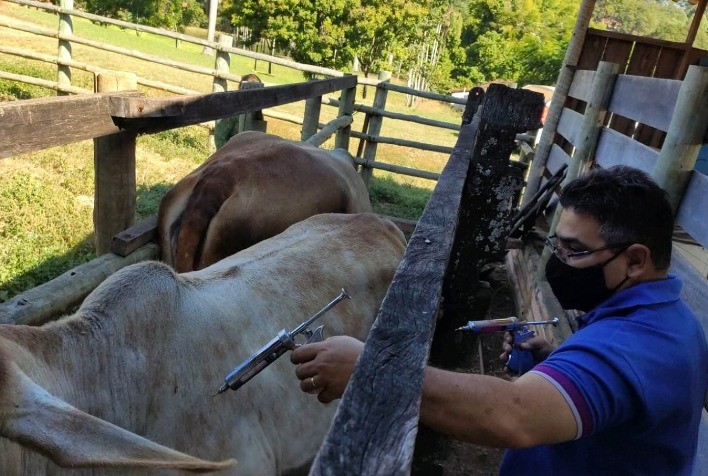 Goiás Inicia Declaração Obrigatória de Rebanho e Vacinação contra Raiva em Herbívoros