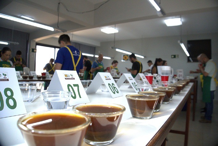 Cup of Excellence 2024: Selecionados os Cafés Brasileiros para Fase Internacional