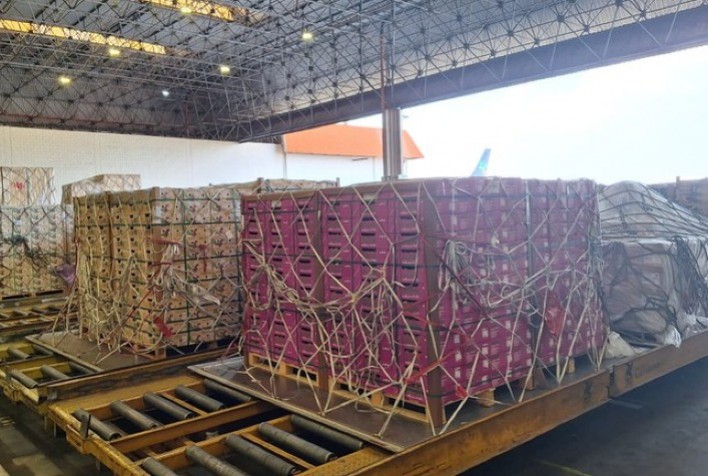 Viracopos recebe carros de Fórmula 1 e aproveita aeronaves para exportação de frutas