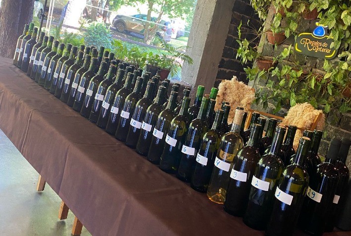 Consultorias Tecnológicas do Sebraetec Impulsionam a Produção de Vinhos Artesanais em Santa Catarina