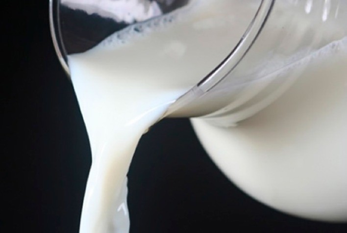 Preço do leite registra alta em setembro, mas cenário pode mudar em outubro