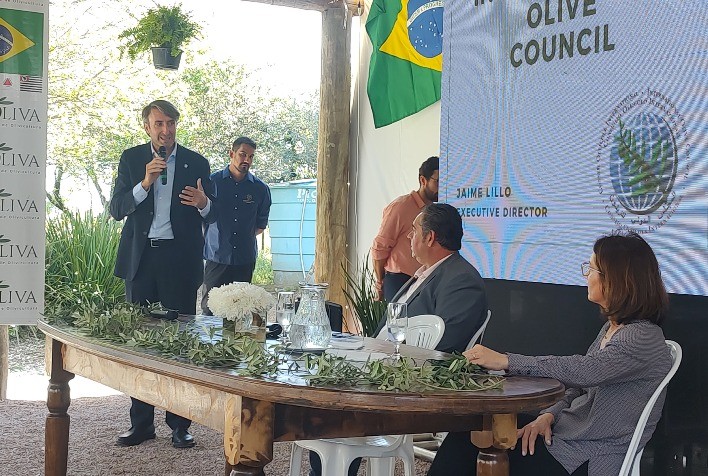 Visita de Conselho Internacional Impulsiona Produção de Azeite no Brasil