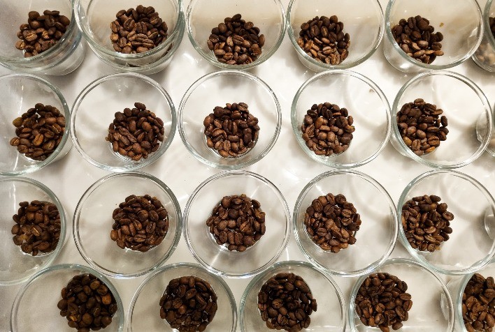 Concurso de Qualidade dos Cafés de Minas Gerais 2024 Atinge Fase Decisiva