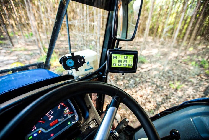 Tecnologia Florestal: Brasil se Consolida como Líder Global no Setor