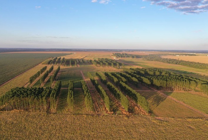 Desafios da Coerência: Sustentabilidade e Segurança Jurídica para o Produtor Rural em SC