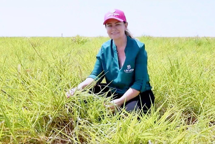 Agricultores Brasileiros Apostam na Valorização do Microbioma do Solo para uma Agricultura Sustentável