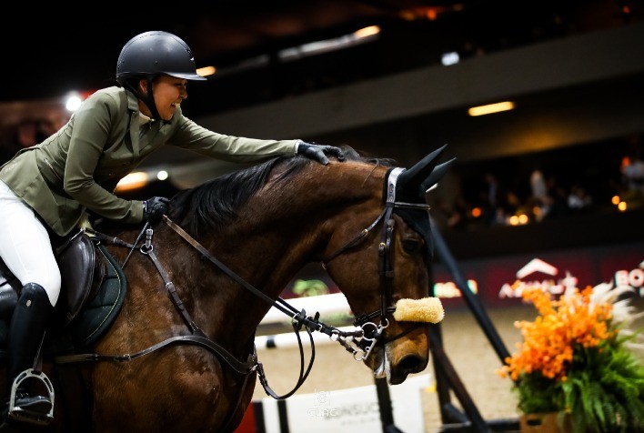 Seguro para Cavalos: Proteção Essencial no Mundo Equestre