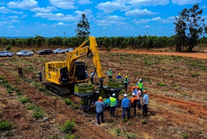 Reflorestar: De Operação Manual a Líder em Soluções Mecanizadas para o Setor Florestal Brasileiro