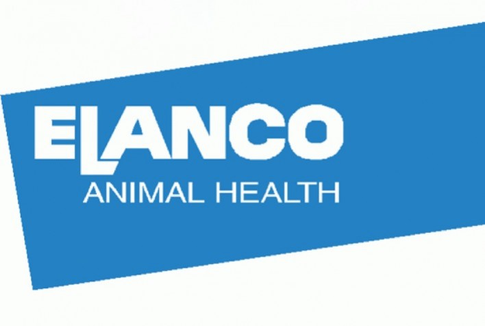 Elanco Registra Quinto Trimestre Consecutivo de Crescimento