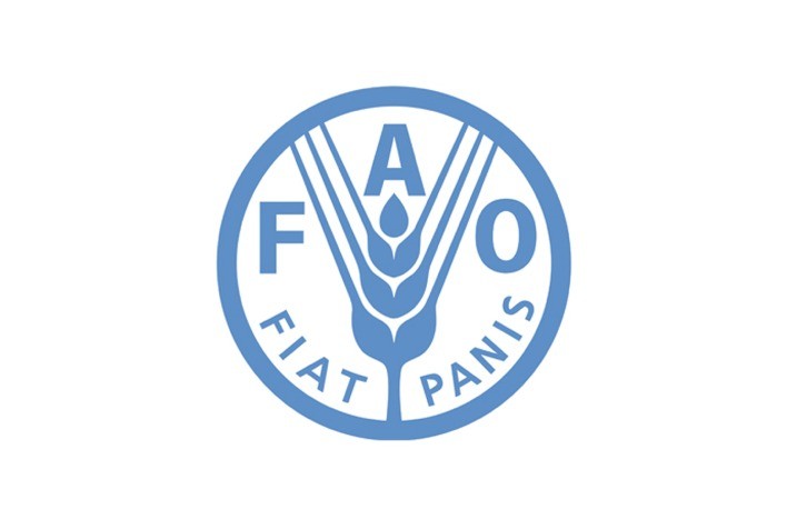 FAO integra Aliança Global Contra a Fome e a Pobreza e liderará mecanismo de apoio em Roma