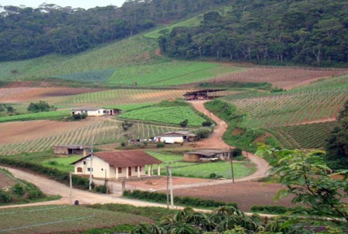 STJ Entende que Novo Código Florestal Pode Retroagir para Dispensa de Averbação de Reserva Legal