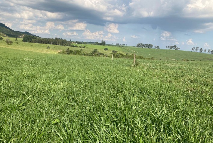 Adubação Sustentável em Pastagens: Solução para Reduzir Emissão de Gases de Efeito Estufa