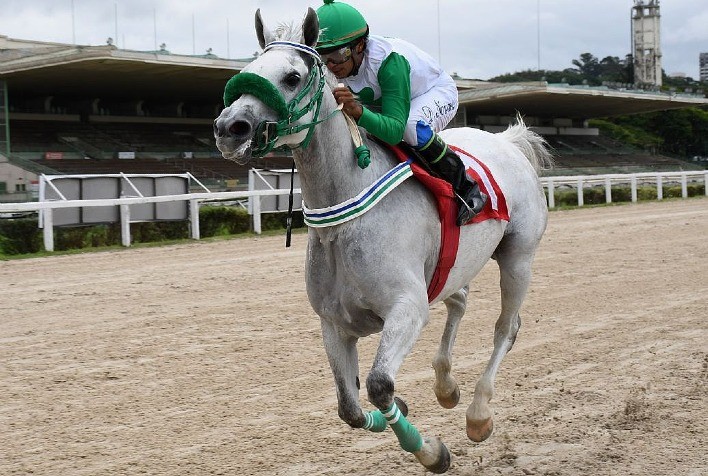 Allure BV Conquista Vitória Imponente no Prêmio UAE President Cup For Colts & Fillies VII