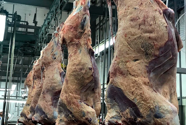 Carcaça Casada Bovino Alcança Preço Recorde Acima de R$ 22/kg