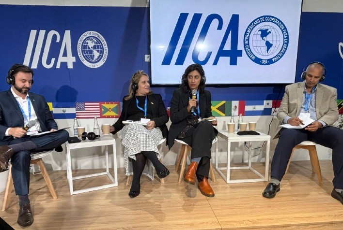 COP29: Pecuária Brasileira Avança na Reciclagem de Resíduos da Agricultura, afirma Diretora da JBS