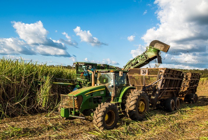 Escassez de mão de obra no setor de cana-de-açúcar preocupa produtores em Minas Gerais e no Brasil
