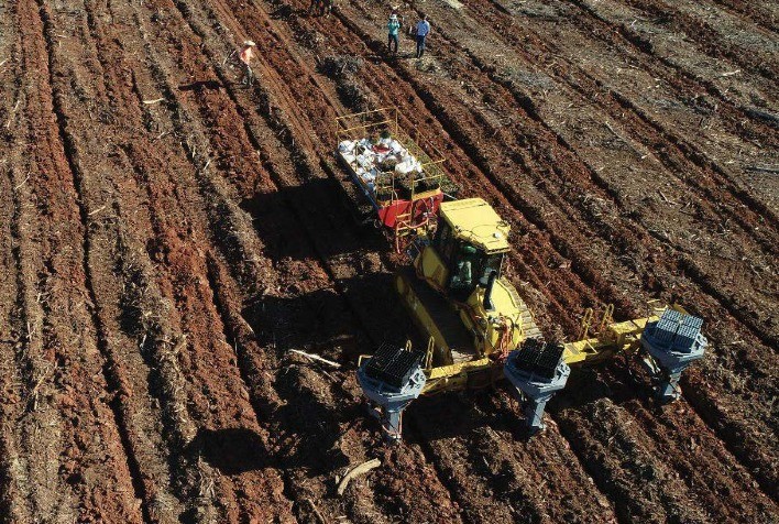 Máquinas semi-autônomas revolucionam o plantio florestal com alta produtividade