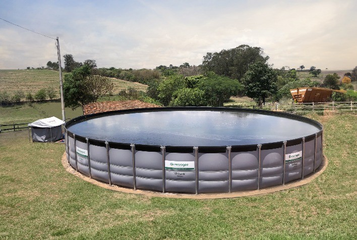 Produtores de Café Superam Desafios Climáticos e de Mercado com Manejo Microbiológico do Solo