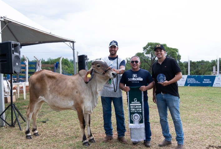 Rochedo Solidifica Presença na Pecuária Leiteira com Julgamento Nacional da Raça Girolando