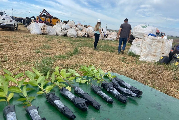 Programa Descarte Certo da Capal Recicla 209 Toneladas de Resíduos Veterinários em 10 Anos