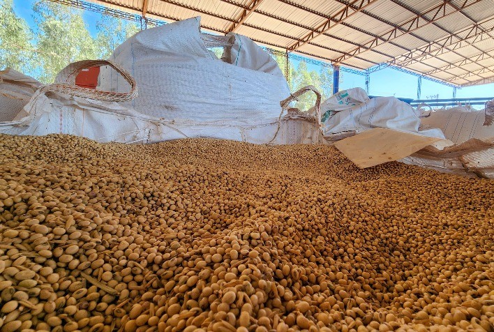 Preços da soja avançam discretamente na Bolsa de Chicago