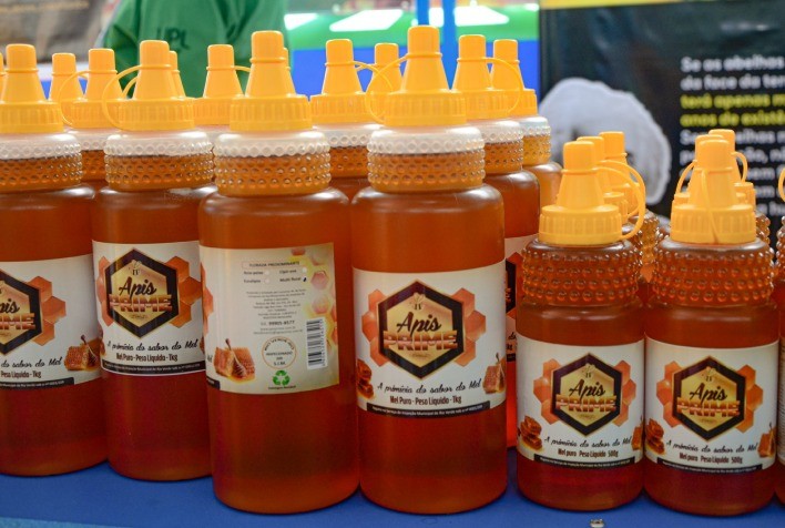 Agrodefesa e CRMV/GO promovem capacitação para implementação do Serviço de Inspeção Municipal