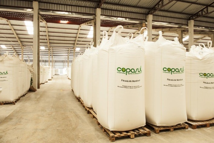 Crescimento na Produção e Consumo de Fécula de Mandioca, Mas Margens Industriais Sob Pressão