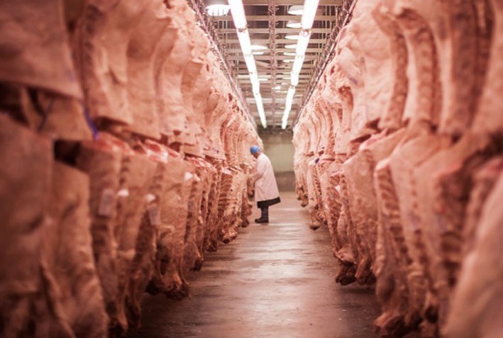 Exportações de carne bovina crescem 28%