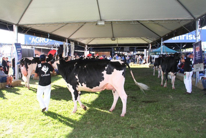 Fenasul Expoleite 2025: Planejamento Avançado para o Maior Evento do Setor Leiteiro