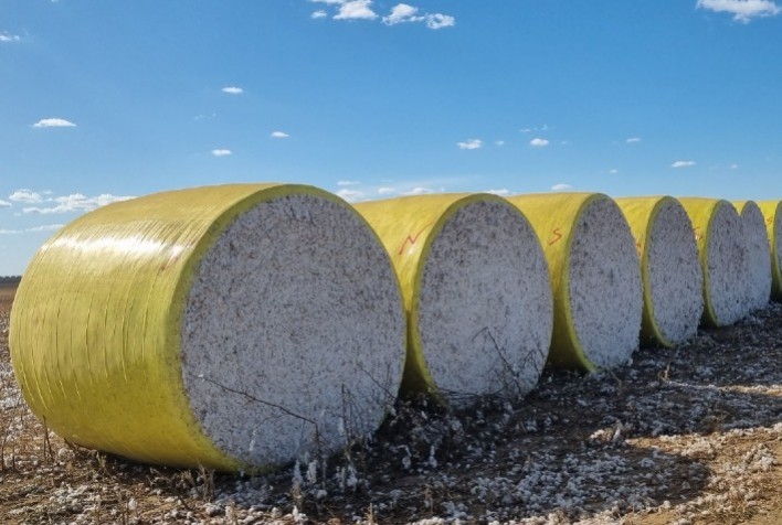 Nova Solução para Armazenamento de Algodão no Campo