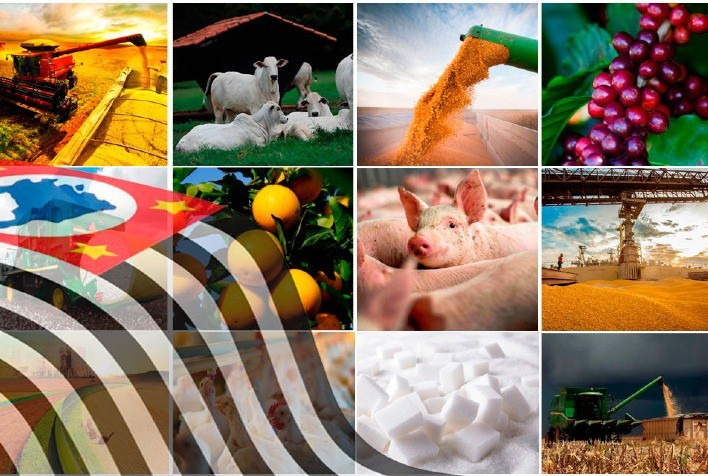 Agronegócio Paulista Alcança Superávit de US$ 2,78 Bilhões em Outubro