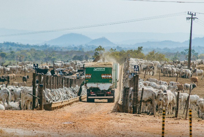 Casale projeta expansão com foco no setor leiteiro