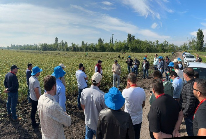 Produtores Brasileiros de Hortaliças Exploram Cultivos na Argentina e no Chile