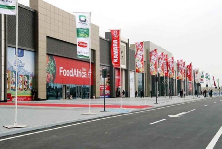 Empresas brasileiras buscam expandir presença no mercado egípcio