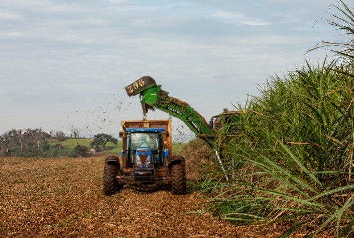 Estiagem afeta produtividade e gera preocupação para a safra de cana 2025/2026