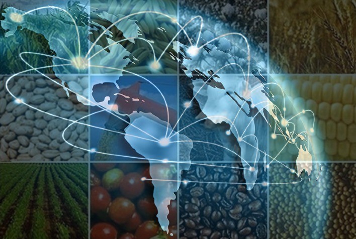 Mercado de Grãos: Conflito no Mar Negro e Acordo Brasil-China Redefinem Perspectivas Globais